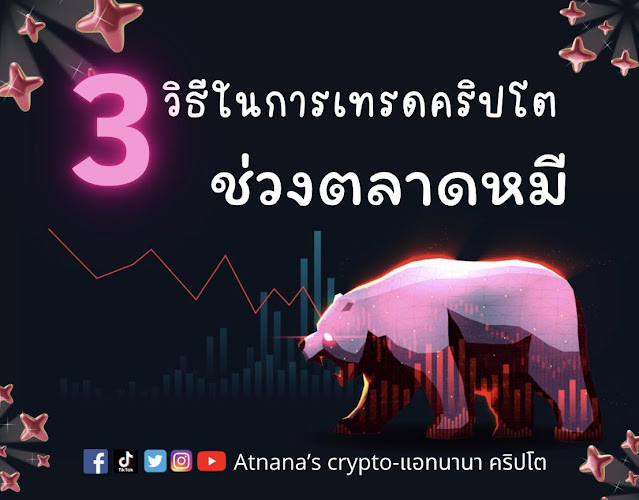 3 วิธี ในการ เทรดคริปโต ช่วงตลาดหมี