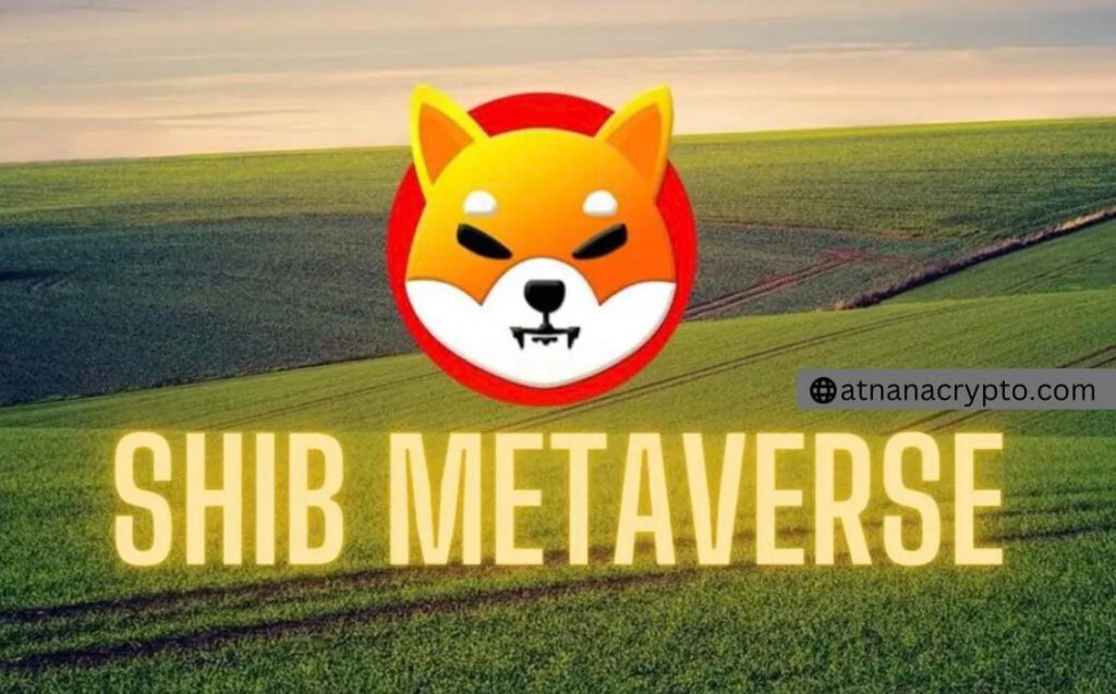 แฟนๆSHIB ยิ้มแก้มปริ Shiba Inu จัดแสดง Metaverse ในเทศกาลภาพยนตร์เท็กซัส