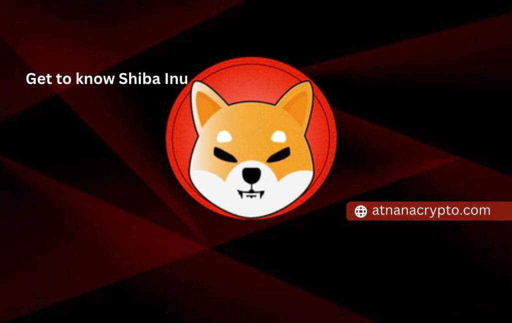 Shiba Inu คืออะไร? ทำความรู้จักโทเค็นน้อนหมา ที่มาแรงจนตีเสมอพี่ DOGE ได้