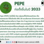 ข้อมูลโทเค็น Pepe (PEPE)