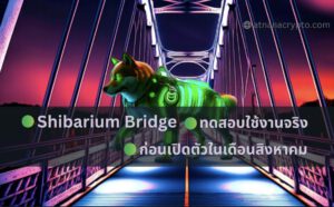 แฟน Shiba มีเฮ! Shibarium Bridge เปิดให้ใช้งานจริงสำหรับการทดสอบสาธารณะ ก่อนเปิดตัวในเดือนสิงหาคม