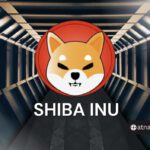 Shiba Inu: SHIB สามารถไปถึง $0.01 ได้อย่างง่ายดายหากสิ่งนี้เกิดขึ้น!