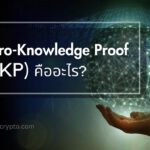 Zero-Knowledge Proof (ZKP) คืออะไร? และมีผลกระทบต่อ Blockchain อย่างไร?